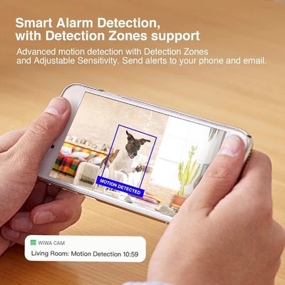Wall Charger WIFI Hidden CCTV Camera , White Mini Spy Security Cameras