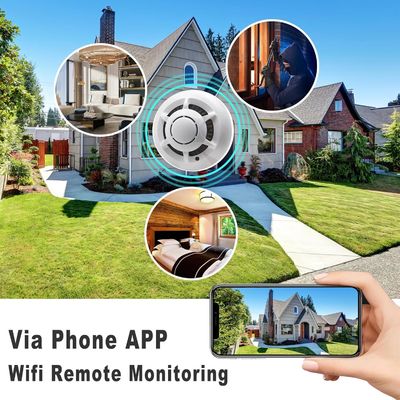 White Miniature Home Security Cameras Wifi Smoke Detector Spy Camera With Motion Detection
